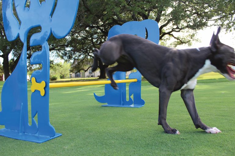 Commercial Dog Park Equipment Commercial Dog Park Equipment